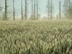 -国际非物质文化遗产博览园