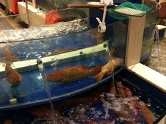 -海景壹号大酒店(惠钱路店)