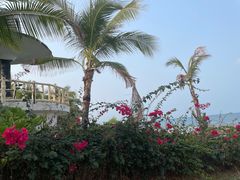 -三亚西岛海洋文化旅游区