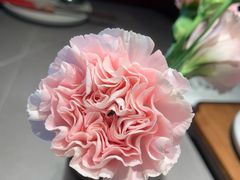 -四川饭店·小龙虾(长白店)