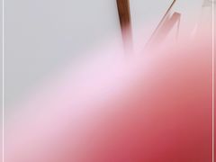 -清水蘭軒