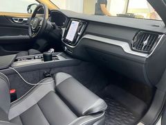 -XPEL旗舰店·汽车贴膜·隐形车衣·改色贴膜