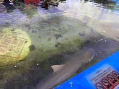 -鸿通城购物中心