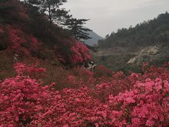 -木兰云雾山