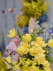 -苏州希尔顿酒店-宴会厅