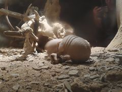 -夜间野生动物园
