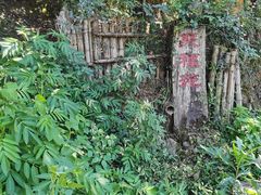 -杨家堂村