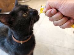 -石舍洒秀咖啡馆