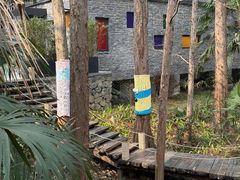 -东明山森林公园