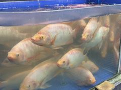 -小海豚•老字号海鲜餐厅(天涯店)