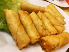 炸春卷-真浪花园海鲜餐馆