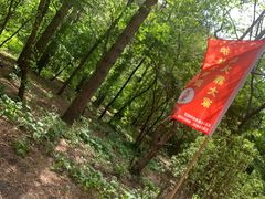 -黑龙江省森林植物园