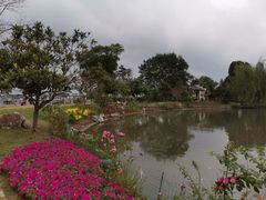 -鹅湖玫瑰文化园