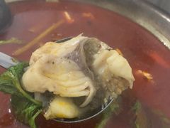冷锅鱼-重庆特色冷锅鱼(武大店)