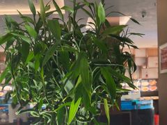 -百富源·海鲜辽菜(张士店)