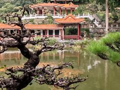 -深圳仙湖植物园