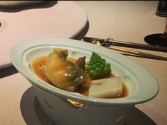 -子福慧(虹桥店)