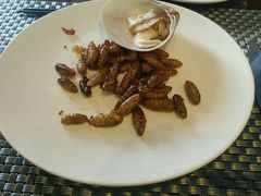 -荣誉国际酒店-云顶旋转餐厅