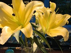 -都氏家DUSJOY(翡翠城店)