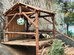-泉州海丝野生动物世界