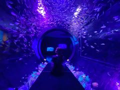 -成都浩海立方海洋公园