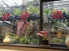 -朴厝私房菜(鼓浪屿店)