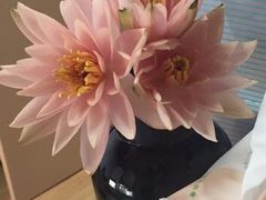 -菩提树·素食餐厅(汇智国际商业中心店)