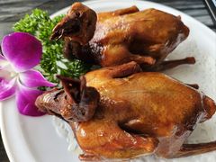 -鸽鸟轩(石岐店)