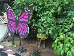 -红栌温泉山庄生态美食餐厅
