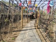 -南窖乡水峪村山情农家