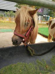 -萌宠亲子动物乐园(槐房万达店)