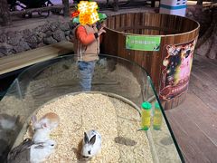 -正佳雨林生态植物园