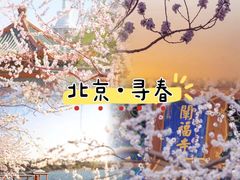 -颐和园