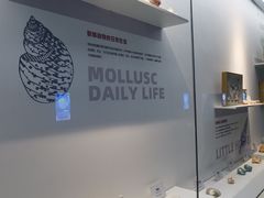 -重庆欢乐海底世界