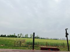 -汉长安城未央宫国家考古遗址公园