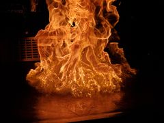 -上林铁板烧(延安西路店)