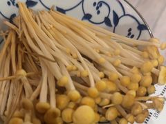 -巴奴毛肚火锅(九洲店)