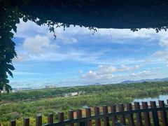 -芒洲湿地公园