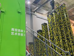 -运动派(北京店)