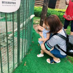 -萌宠亲子动物乐园(槐房万达店)