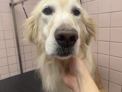 -FAELING PETS美天灵宠物(富力广场店)