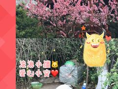 -元大都城垣遗址公园