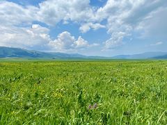 -新疆那拉提国家旅游度假区