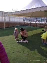 点击看大图 -萌宠亲子动物乐园(槐房万达店)