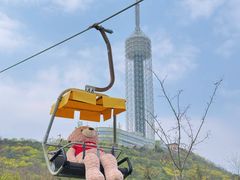 -富斯特索道