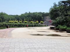 -北京张裕爱斐堡酒庄
