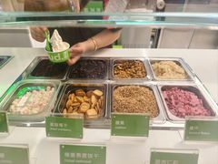 -Salud撒露欧洲冻酸奶(五道口购物中心店)