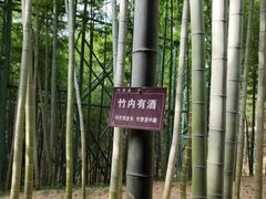 -陶祖圣境风景区