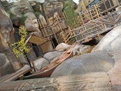 -杭州开元森泊度假乐园