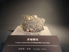 -浙江自然博物院(杭州馆)